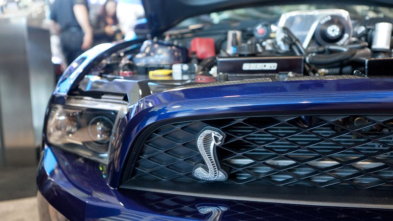 Illustration for article titled 2013 Shelby 1000